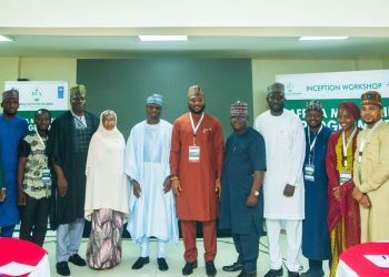 REA Launches the Africa Minigrids Program (AMP) to Expand Energy Access Across Nigeria