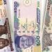 CBN to introduce new currency notes come Mid December