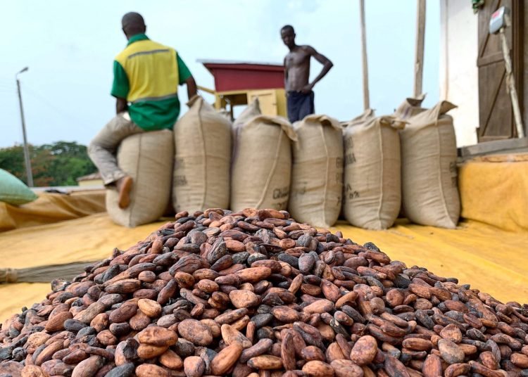 EU Ambassador to Ghana Instill says there will be no ban on cocoa from Ghana