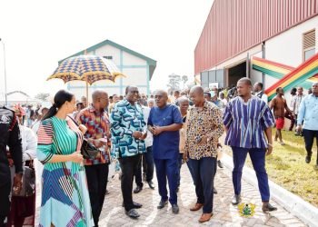 Ghana Gov’t Establish Maize Factory to supports 600 farmers  under 1D1F Initiatives