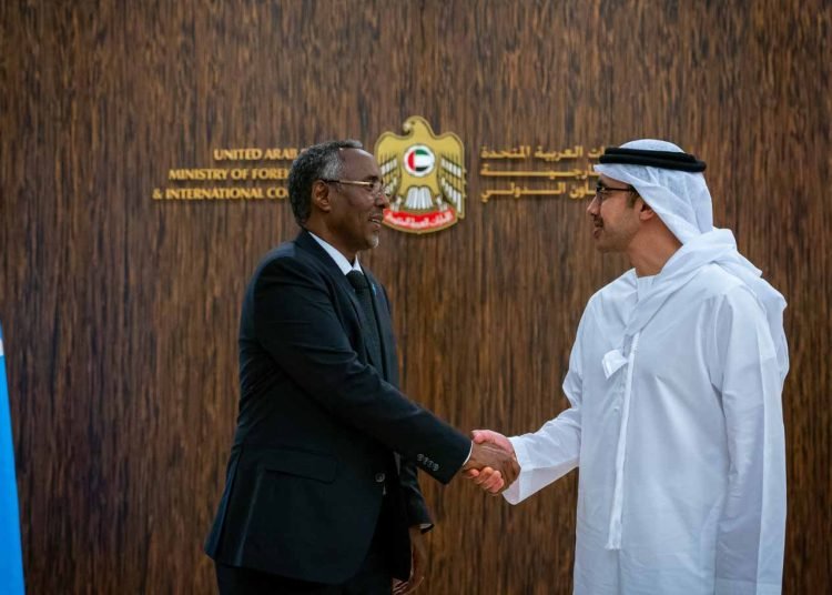 Minister of Foreign Affairs of the United Arab Emirates Receives Somalia’s Foreign Minister