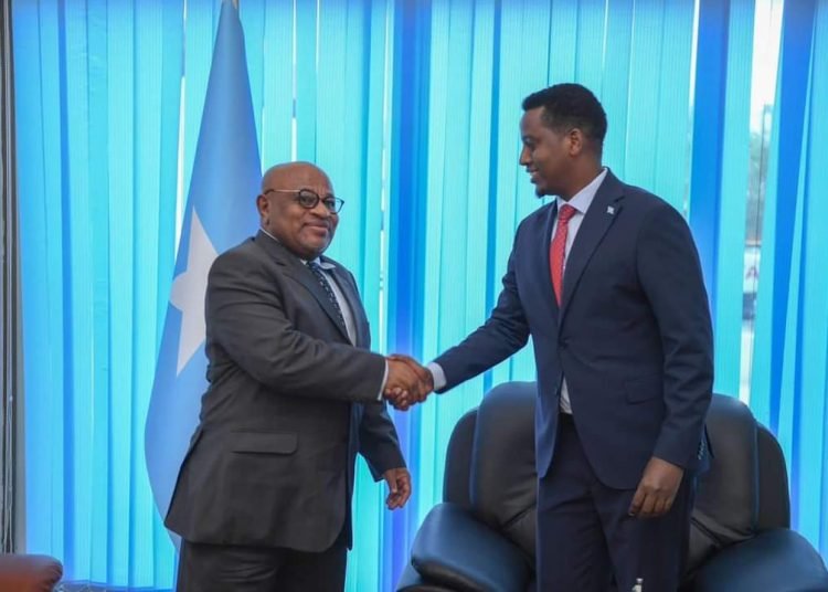 H.E Mohamud Mursal Somali Deputy Foreign Minister Welcomes New AU Representative