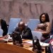Let’s Reform UN Security Council, Ghana President Appeals to World Leaders