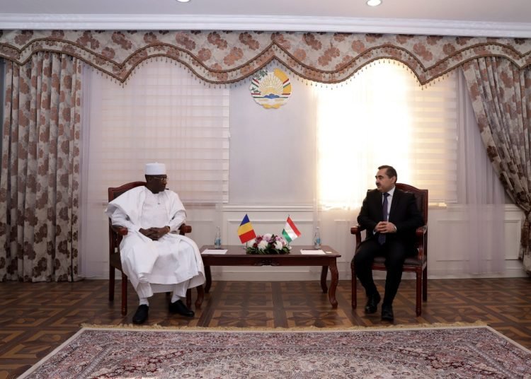 Deputy Foreign Minister of Tajikistan receives copies of credentials of the Ambassador of the Republic of Chad