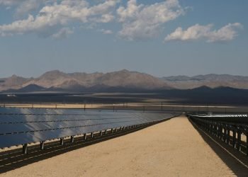 U.S: Government to consider new areas for solar energy on public lands