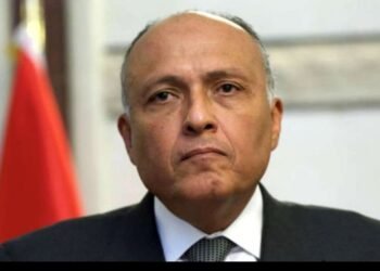 Egyptian Minister of Foreign Affairs to visit Syria and Turkey Today