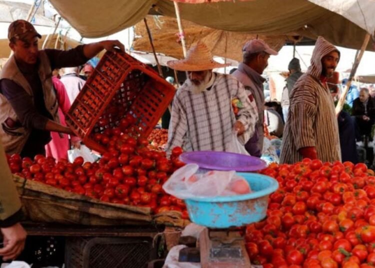 Morocco bans tomato exports over high domestic prices