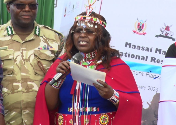 Kenya: Opposition Party protests affecting tourism sector says CS Malonza