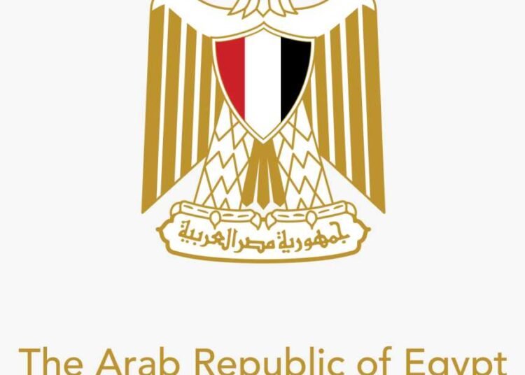 Egypt: President El-Sisi meets Chairman of China International Energy Group