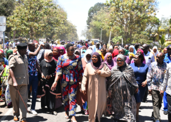 Women’s leadership slowed by patriarchal norms in Kenya elections