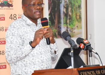 Kenya: State calls for partnership with private investors in gunding digital projects