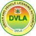 Ghana: Gender and Roads ministries launch DVLA policy for drivers with disabilities