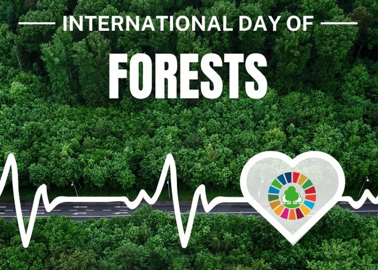 International Day of Forests, 21 March