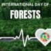 International Day of Forests, 21 March