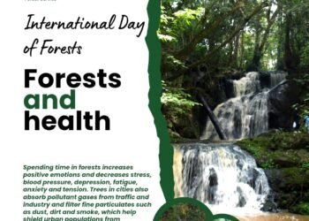 Kenya Forest Service encourages local, national and International events towardsInternational Forest Day, March 21