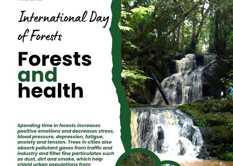 Kenya Forest Service encourages local, national and International events towardsInternational Forest Day, March 21