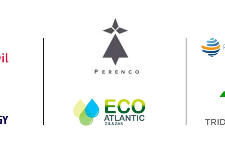 Independents Energy companies are raring to go in Africa in 2023 with sustainable energy development