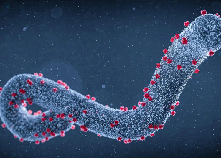 Tanzania confirms first-ever outbreak of Marburg Virus Disease