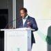 Executive Director of Savannah Group, Wale Ajibade