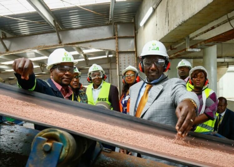 Kenya: New fertiliser variety promises higher farms yields