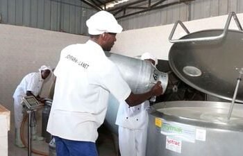 Kenya Dairy Board lifts ban imposed on powder milk imports