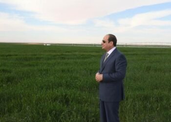 Egypt: President El-Sisi Reviews National Agricultural Production and Land Reclamation Project in New Delta
