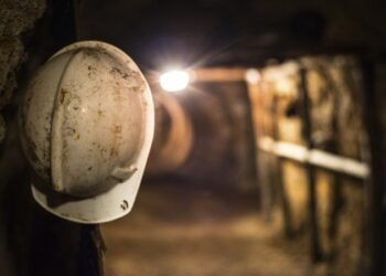 Zimbabwean President believes Lithium will make Zimbabwe richer