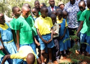 Kenya: Governor Launches School Greening Programme