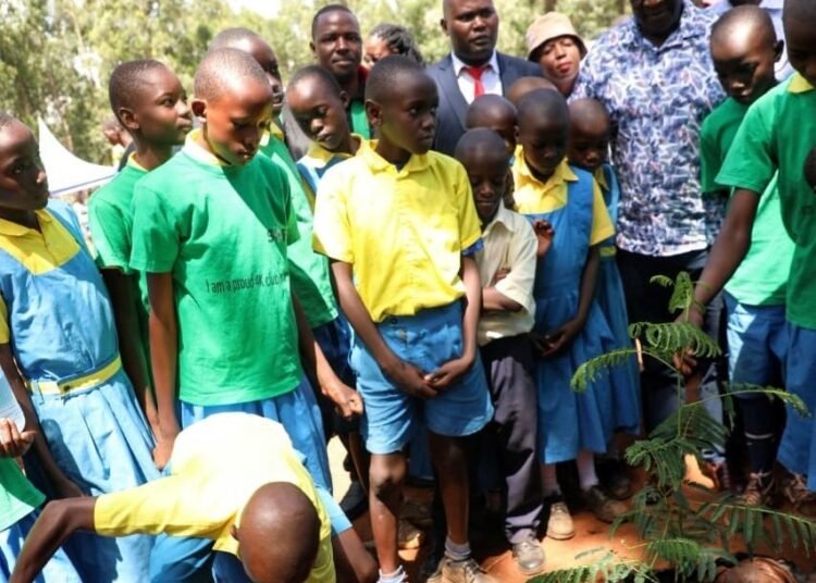 Kenya: Governor Launches School Greening Programme
