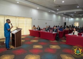 Ghana committed to 741.3MW of Solar Energy by 2030- Deputy Energy Minister