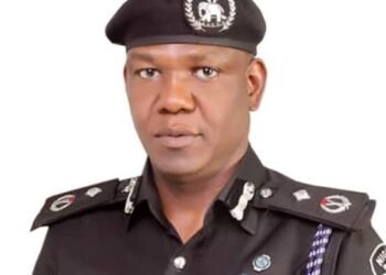 The Astronomical Rise of Frank Mba, AIG of the Nigeria Police Force