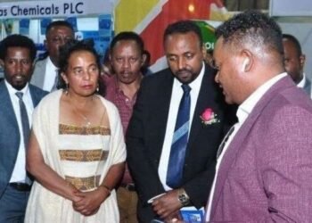 Ethiopia: EU funds Addis Ababa Chamber to Launch Business Incubator for Young Entrepreneurs, Startups