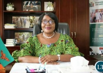 Zambia: Government promises miners to address bottlenecks in the mining sector