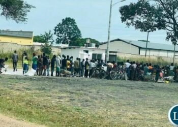 Zambia: Gov’t signs statutory instrument to suspend duty on imported mealie meal to stabilise prices