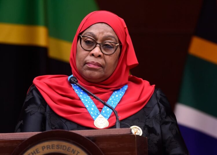 Tanzania’s first female President pays state visit to South Africa