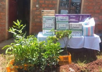 Kenya: NEMA Donates Dignity Kits To School