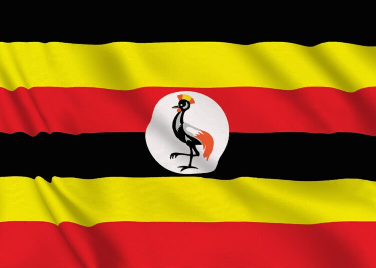 Uganda: Health facilities underfunded, Minister Muhanga admits