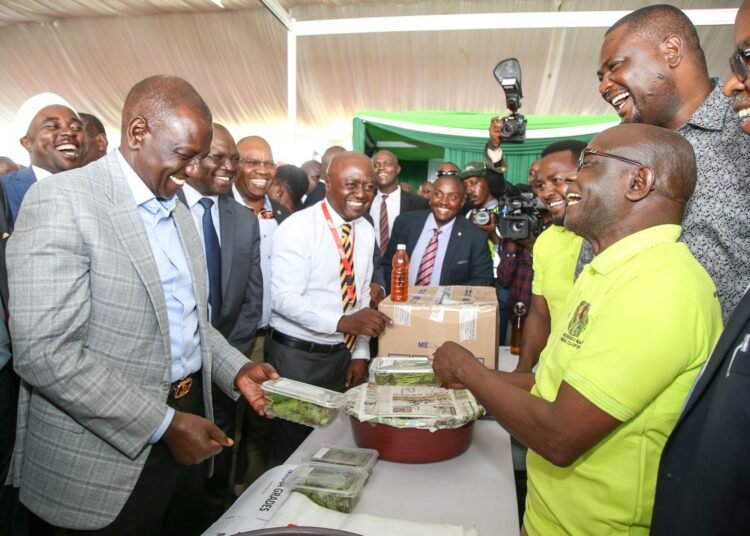 Kenya: Free Wi-fi will boost e-commerce, spur jobs creation – President Ruto
