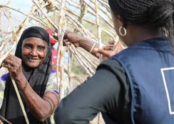 EU allocates additional €25 million in humanitarian aid in Ethiopia and Kenya