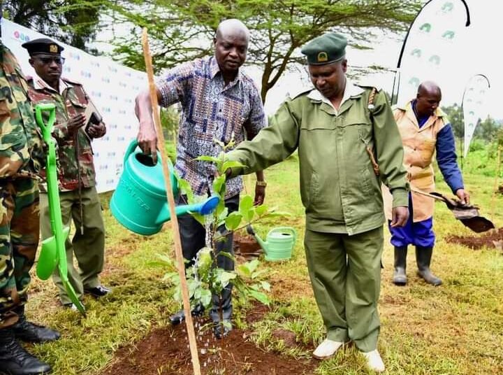 Kenyan Gov’t launches tree growing campaign