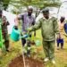 Kenyan Gov’t launches tree growing campaign