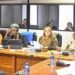 Pan African Parliament Committee on Gender discusses Model Law on Gender Equality