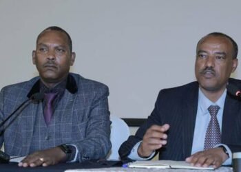 Ethiopia: Go digital or no procurement next year: authority warns federal agencies