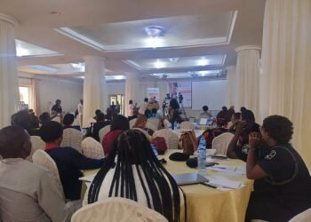 Nigeria:  UN, EU, and others condemn gender-based violence against women in elections