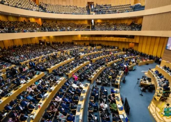 Algeria, Sierra Leone elected to UN Security Council