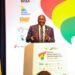 Ghana Is Back On Track With Investment Opportunities – Bawumia to Foreign Investors