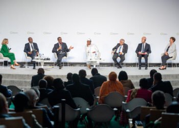 AfDB Head urges MDBs to leverage IMF Special Drawing Rights to fight climate change