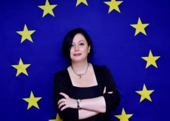 Democracy has brought many gains to Nigeria – EU-SDGN