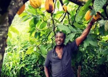 USAID supports Ghanaian farmers with $7m