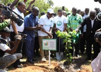 Ghana: 3rd edition of Green Ghana Day held, targets planting 10 million trees nationwide